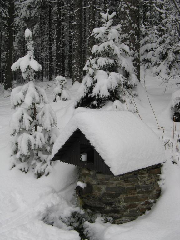 Apartmany U Lipno Frymburk Exterior photo